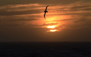 Sunset 05105