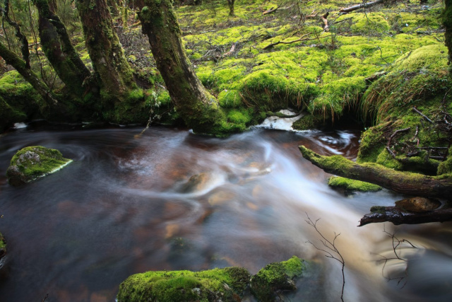 Vale of Belvoir Andy Townsend Creek22 1440x0 c default
