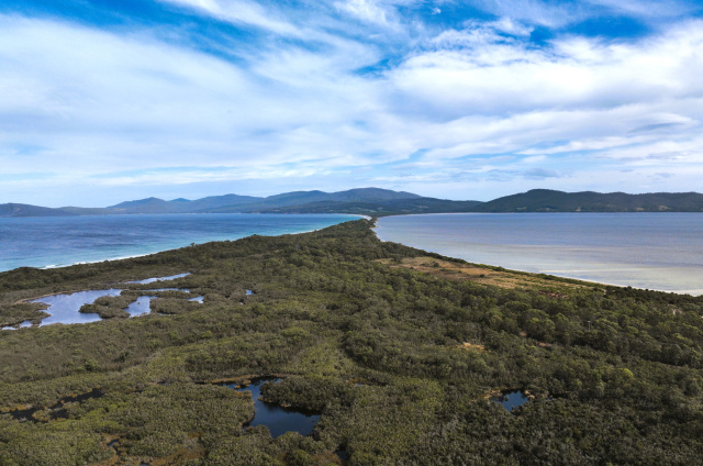 The Neck drone Edith Shum