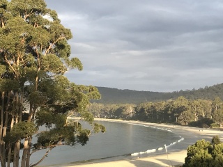 Adventure Bay, view down beach