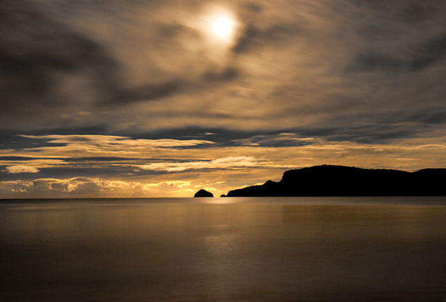 Adventure Bay Moon Glow Warwick Berry