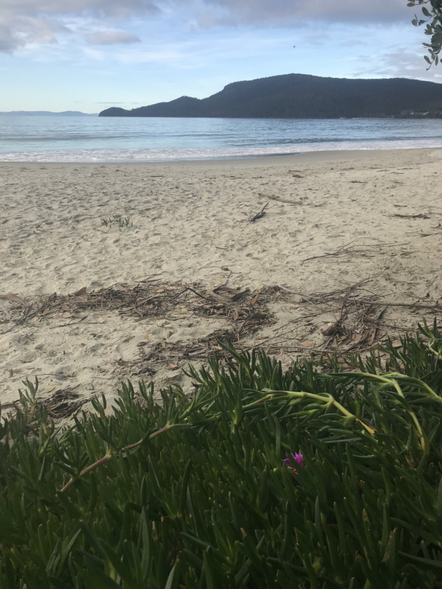 Adventure Bay with Pigface