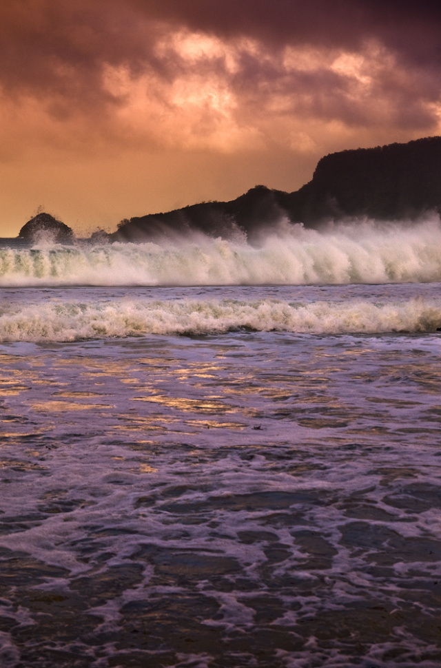 Sea Monsters Adventure Bay to Fluted Cape Warwick Berry