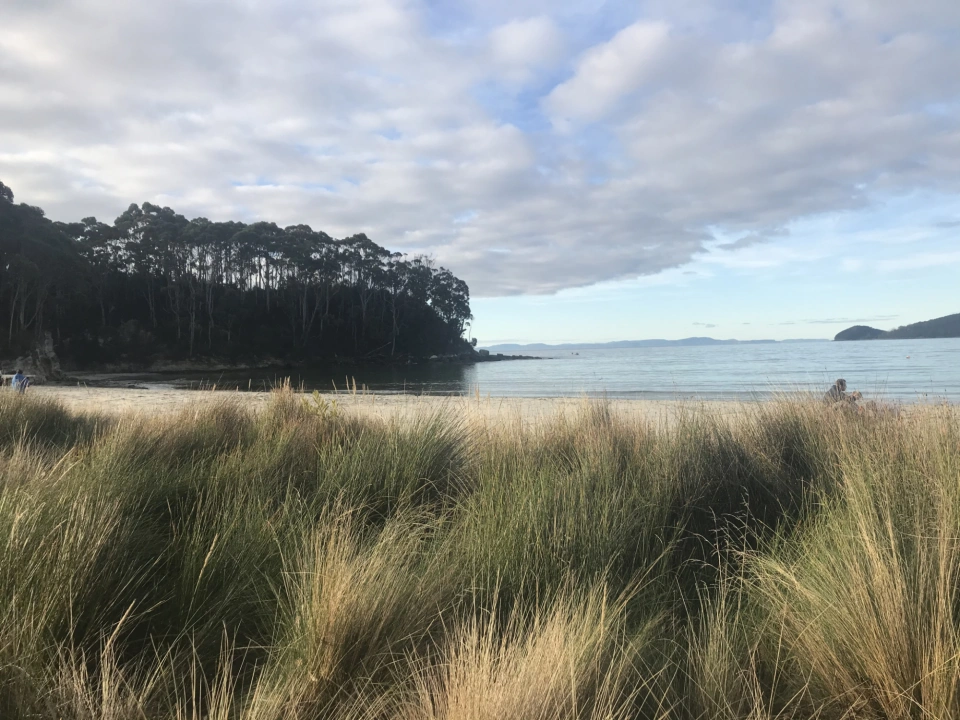 Adventure Bay - Hewn Stone Head Landscape