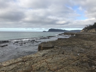 Bligh Rocks view to Fluted Cape