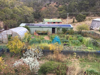 Simon garden 2