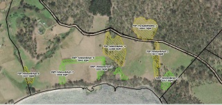 Simon treeplanting map