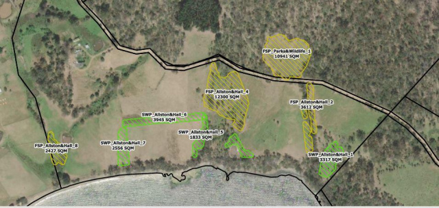 Simon treeplanting map