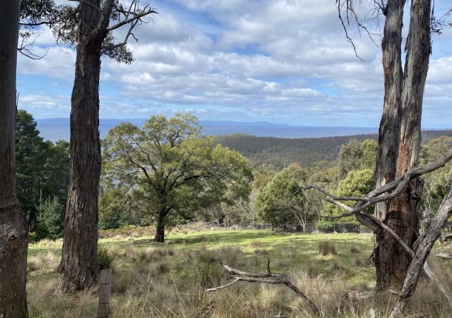 View from Dennes Hill