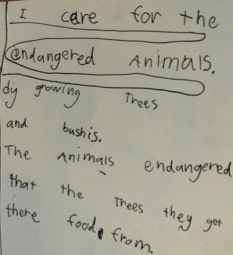 Bruny I care for animals drawing