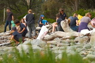 Kids hard at work on Bruny Island