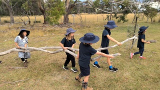 Natureplaybruny