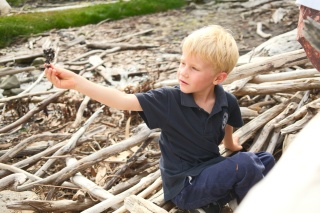Supergrom cleanups