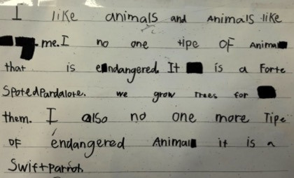 Bruny kids swift parrot