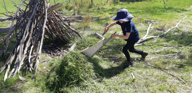 Hay collecting