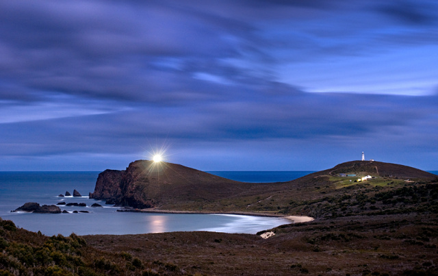Cape Bruny Warwick Berry