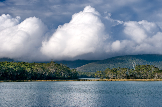 Cloudy Bay Lagoon Warwick Berry