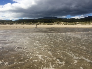 Cloudy Bay Beach