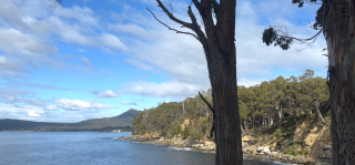Coal point to Adventure Bay