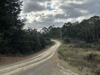 Roadkill hotspot Cloudy Bay rd