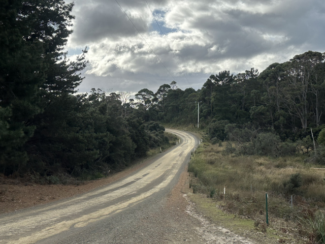 Roadkill hotspot Cloudy Bay rd