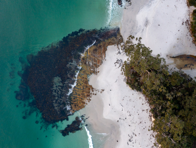 Two Tree Point Dan Broun