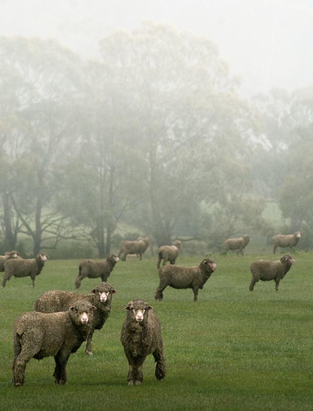 Farm 22 The Extraverts22 Bruny Island Warwick Berry