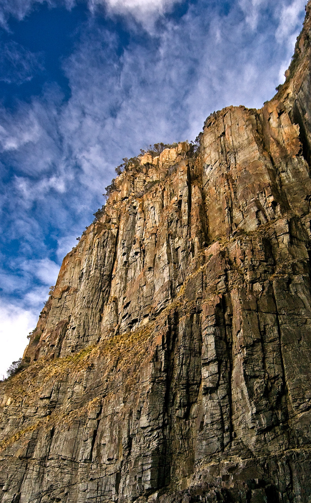 Fluted Cape "Giants" Warwick Berry