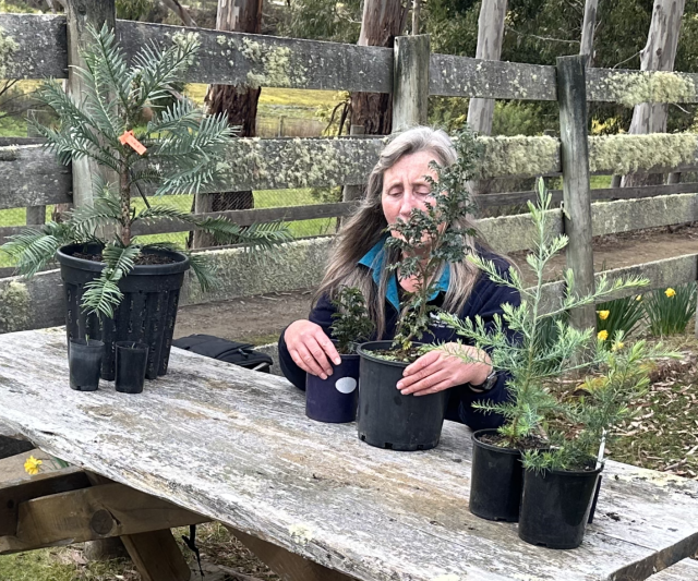 Botanical project Inala