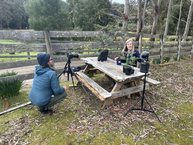 Tonia Cochran interviewed about plants