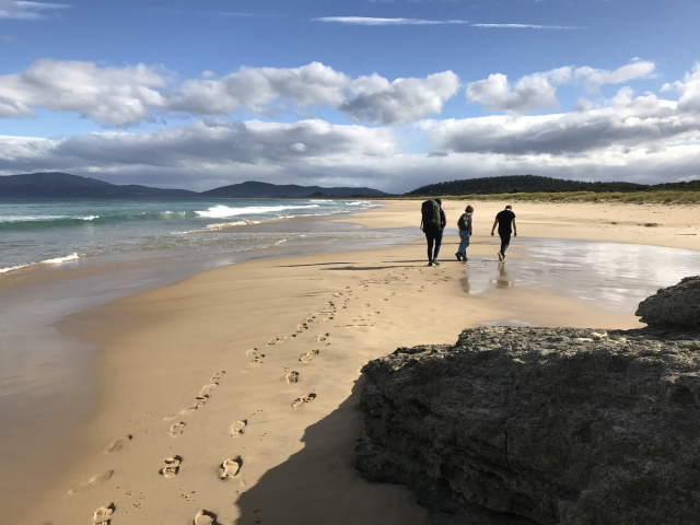 Mars Bluff to Neck Beach