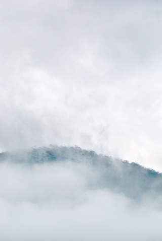 Mountain Mist Bruny Island Warwick Berry