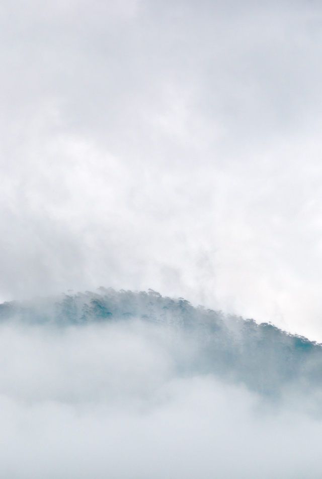 Mountain Mist Bruny Island Warwick Berry