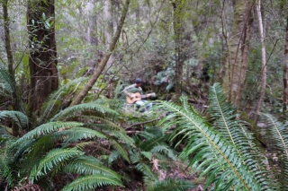 Julius creek 4