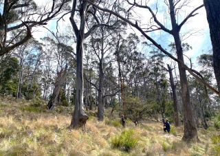 Dr Sally Bryant on Bruny 2