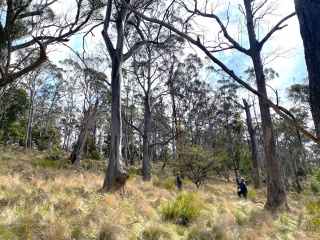 Dr Sally Bryant on Bruny