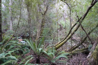 Julius creek 2