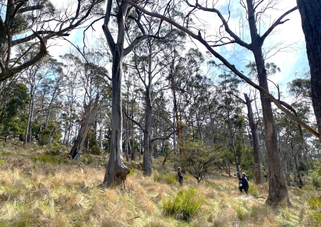 Dr Sally Bryant on Bruny 2