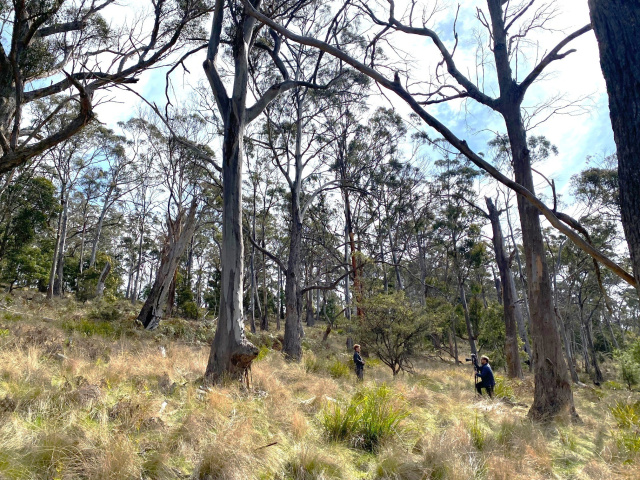 Dr Sally Bryant on Bruny