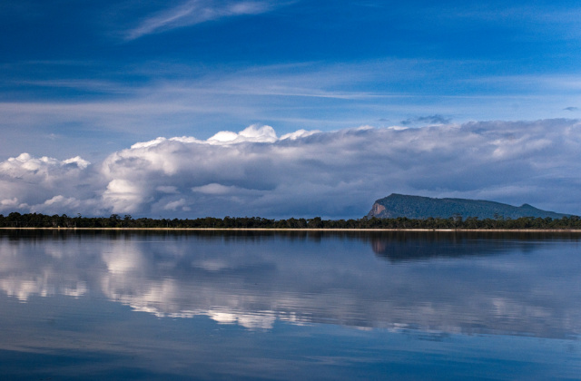 Simpsons Bay Fluted Cape Warwick Berry