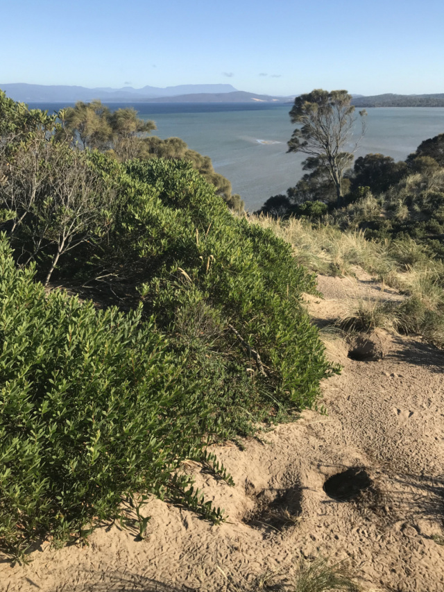 kunanyi from Truganini lookout