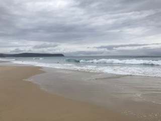 Neck Beach to Cape Queen Elizabeth with wave