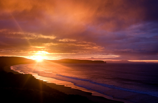Neck Beach "Life" Warwick Berry
