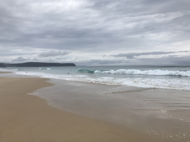 Neck Beach to Cape Queen Elizabeth with wave