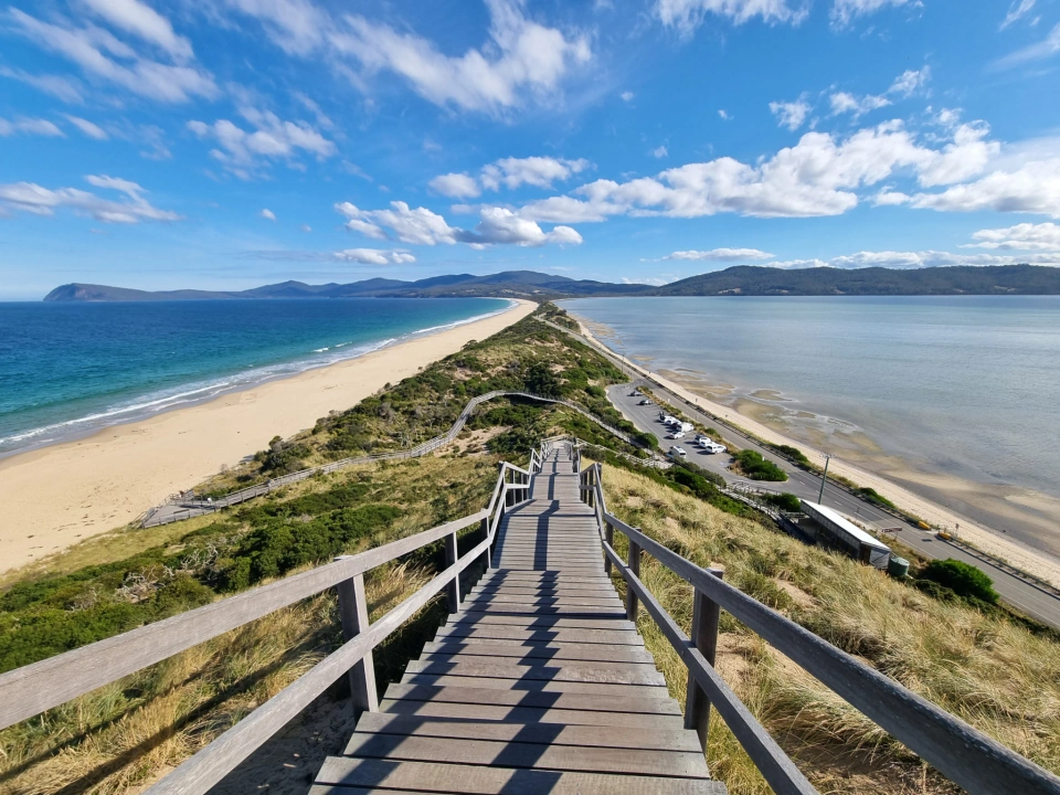 The Neck view by Tilde Bergstrom