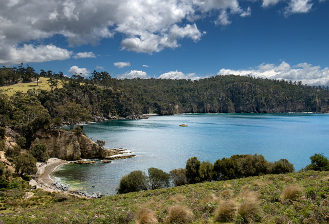 Variety Bay Bruny Island Warwick Berry
