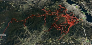 David Day kunanyi map of tracks