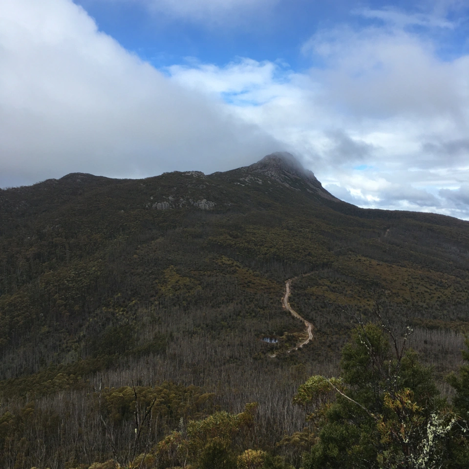 Landscape kunanyi David Day 7753