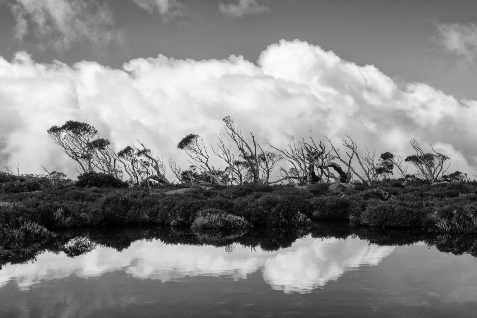 Kunanyi water reflection blackwhite by Grant Murray 5200