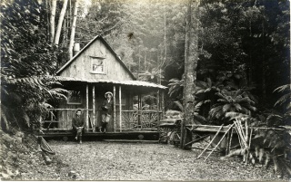 Wellington6